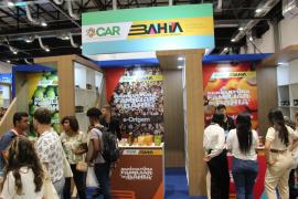 WhatsApp Image 2024-11-08 at 17.38.16.jpeg