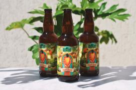 WhatsApp Image 2024-11-27 at 20.09.29 (1).jpeg