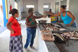 WhatsApp Image 2024-12-19 at 11.50.01 (1).jpeg