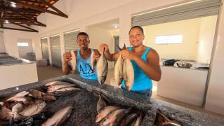 WhatsApp Image 2024-12-19 at 11.50.01 (2).jpeg