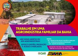 WhatsApp Image 2024-12-20 at 11.52.34.jpeg