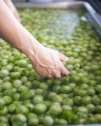 WhatsApp Image 2025-02-06 at 09.35.42.jpeg