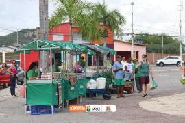 WhatsApp Image 2025-02-10 at 11.28.10.jpeg