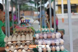 WhatsApp Image 2025-02-10 at 11.28.11.jpeg