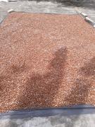 WhatsApp Image 2025-02-14 at 16.27.30.jpeg