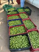 WhatsApp Image 2025-02-17 at 15.56.26.jpeg