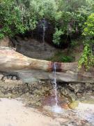 WhatsApp Image 2025-02-19 at 11.49.53 (2).jpeg