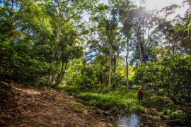 WhatsApp Image 2025-03-17 at 16.40.11.jpeg