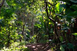 WhatsApp Image 2025-03-17 at 16.40.28.jpeg