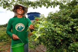 ComunidadeCaladinho_Uaua_Foto_ManuelaCavadas (2).jpg