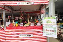 WhatsApp Image 2025-05-03 at 19.23.25.jpeg