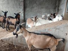 WhatsApp Image 2025-05-08 at 12.06.29 (1).jpeg