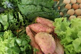 WhatsApp Image 2025-05-08 at 15.42.33 (2).jpeg