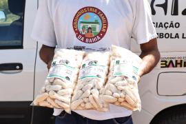 WhatsApp Image 2025-05-09 at 15.06.43.jpeg