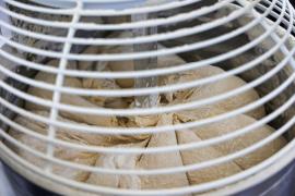 WhatsApp Image 2025-05-09 at 15.06.48 (1).jpeg