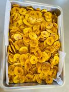 WhatsApp Image 2025-05-12 at 16.34.51(3).jpeg