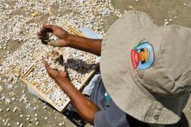 WhatsApp Image 2025-05-13 at 15.52.58 (12).jpeg