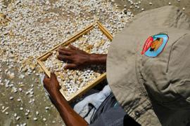 WhatsApp Image 2025-05-13 at 15.52.58 (13).jpeg