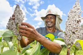 WhatsApp Image 2025-05-13 at 15.52.58 (4).jpeg