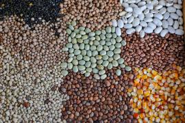 WhatsApp Image 2025-05-13 at 15.52.58 (9).jpeg