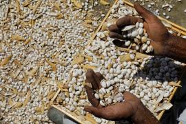 WhatsApp Image 2025-05-13 at 15.52.58.jpeg