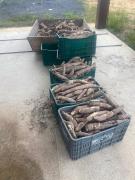 WhatsApp Image 2025-05-15 at 09.40.43 (2).jpeg