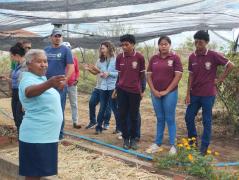 WhatsApp Image 2025-05-16 at 07.42.44.jpeg