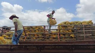 WhatsApp Image 2025-05-16 at 10.46.02 (3).jpeg