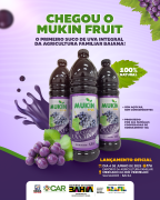 Card-Lançamento-Mukin-Fruit.png