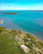 Rogério Conceição (2).jpeg