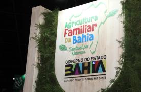 WhatsApp Image 2025-06-11 at 14.11.04.jpeg