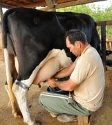 povoado-de-baixa-verde