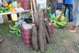 1526200_916627525043141_5876996816130268024_n