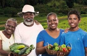 fld_40x20_sdr_institucional