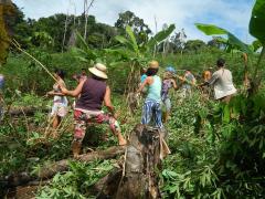 foto-instituto-ecobahia-1