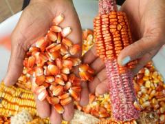 foto-instituto-ecobahia-11