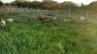 whatsapp-image-2017-04-12-at-14-06-07