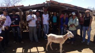 whatsapp-image-2017-07-28-at-15-07-50