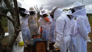 whatsapp-image-2017-08-31-at-13-42-50