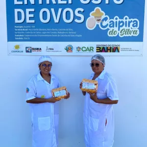 Comunidade de Juazeiro comercializa mais de 100 mil ovos por mês com apoio de unidade classificadora