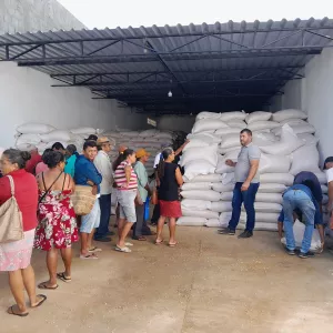Mais de 33 mil famílias do Semiárido baiano são beneficiadas com entrega de milho para ração animal
