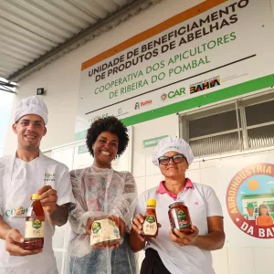 Unidade de beneficiamento de produtos de abelhas eleva produção de méis do Semiárido Baiano
