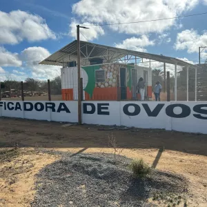 Agricultura familiar da Bahia ganha primeira unidade de classificação de ovos em container