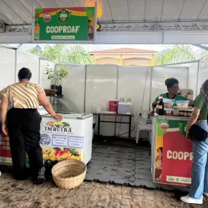 16º Festival do Umbu