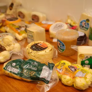 Dia Mundial do Queijo marca avanços da produção baiana e fortalecimento da cadeia do leite