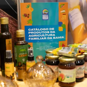 Jornada Institucional da CAR debate estratégias  para fortalecer a agricultura familiar na Bahia