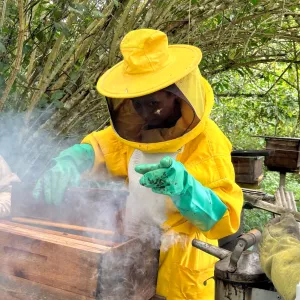 Governo da Bahia fortalece a apicultura no Recôncavo com entrega de 220 kits