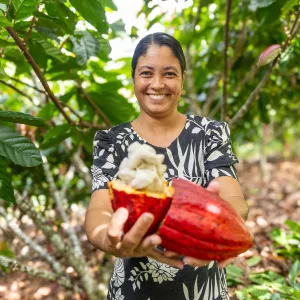 Projeto aprovado na Câmara define regras para o chocolate e deve ampliar a demanda por cacau