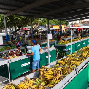 Investimentos do Estado fortalecem infraestrutura econômica em Buritirama, Chorrochó e Mutuípe