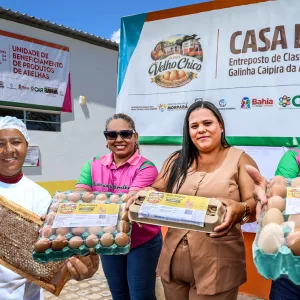 Morpará ganha unidade de mel e classificadora de ovos para fortalecer agricultura familiar